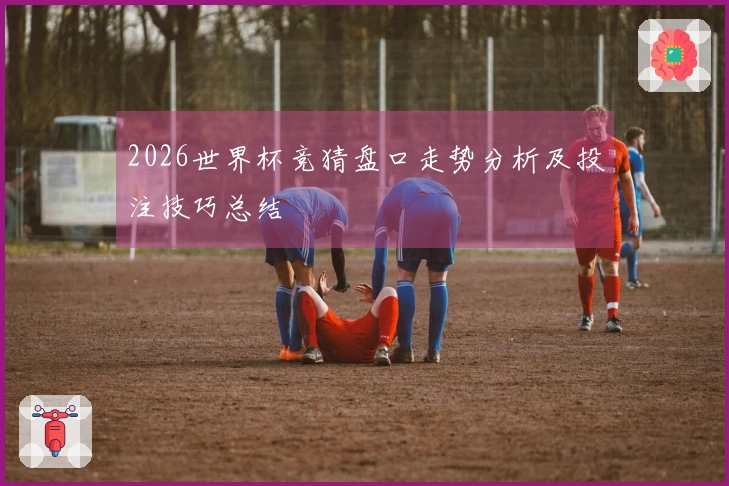 2026世界杯竞猜盘口走势分析及投注技巧总结