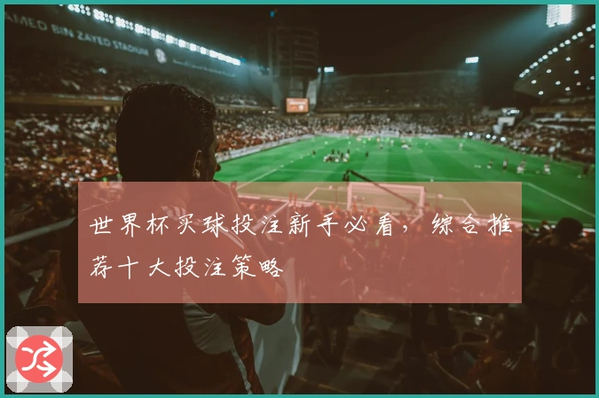 世界杯买球投注新手必看，综合推荐十大投注策略