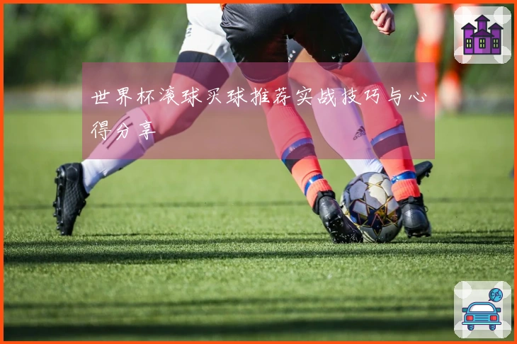 世界杯滚球买球推荐实战技巧与心得分享