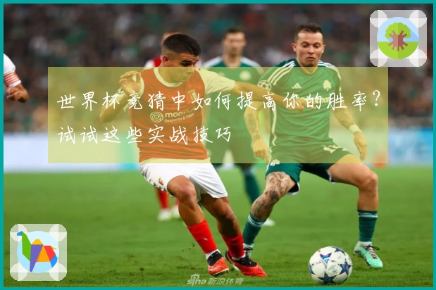 世界杯竞猜中如何提高你的胜率？试试这些实战技巧