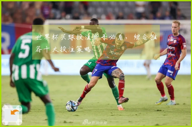 世界杯买球投注新手必看，综合推荐十大投注策略
